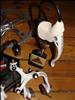 Modolo Superprestige