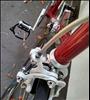 Modolo Superprestige