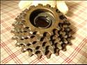 Regina Corsa (6 speed, gold)