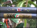 Nisi Contender