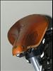 Brooks B17 Champion Special