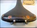 Brooks Team Professional